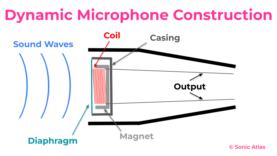 Diagraph of a dynamic microphone construction
